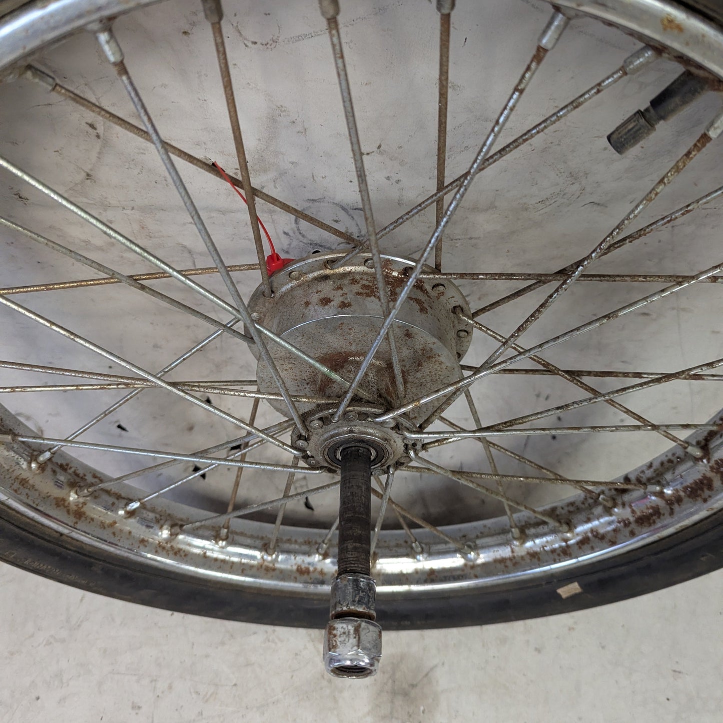 19" Mini Drum Wheel w/ 5/8" Axle