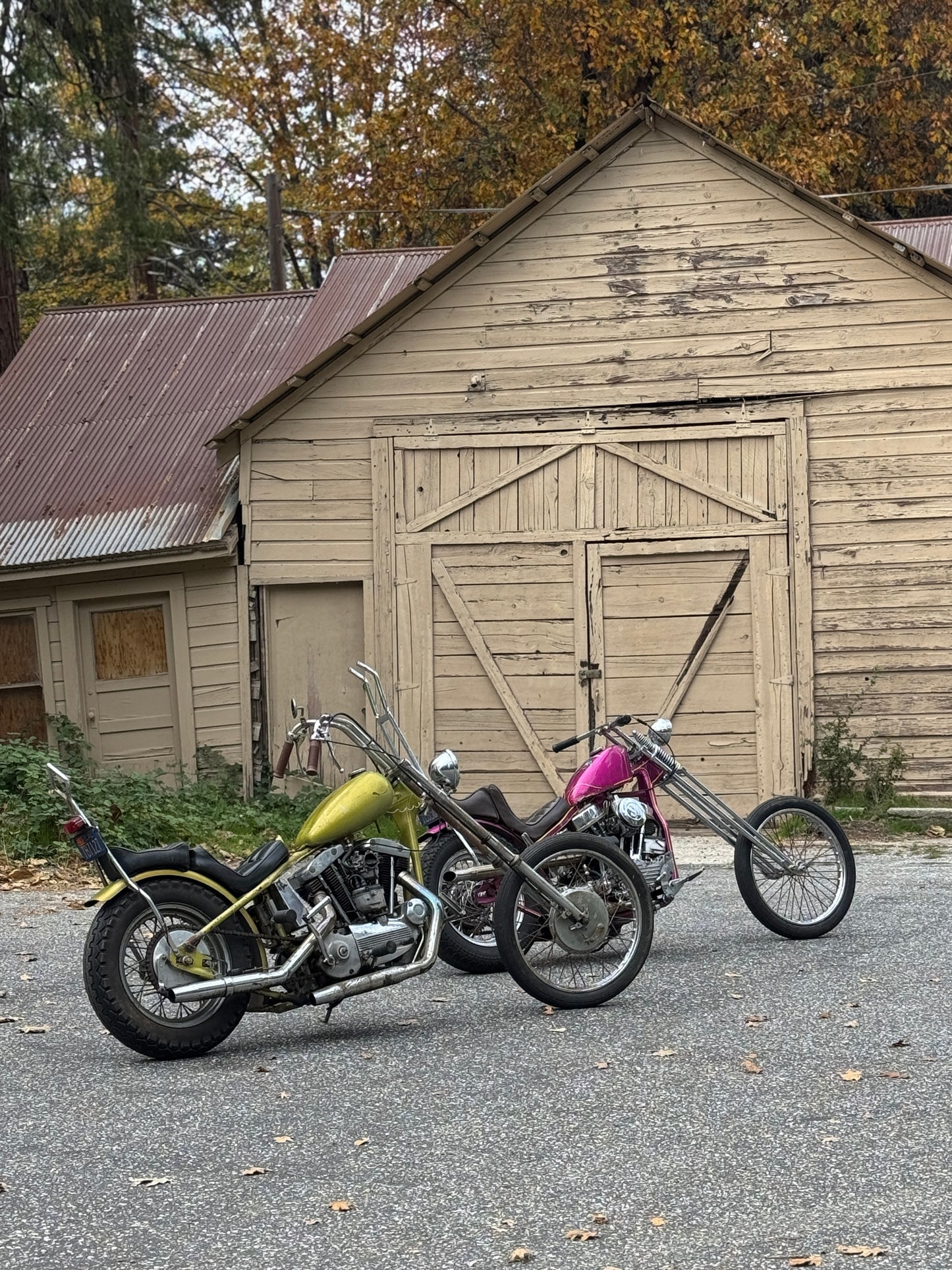 Limited Edition Panhead & Ironhead Posters