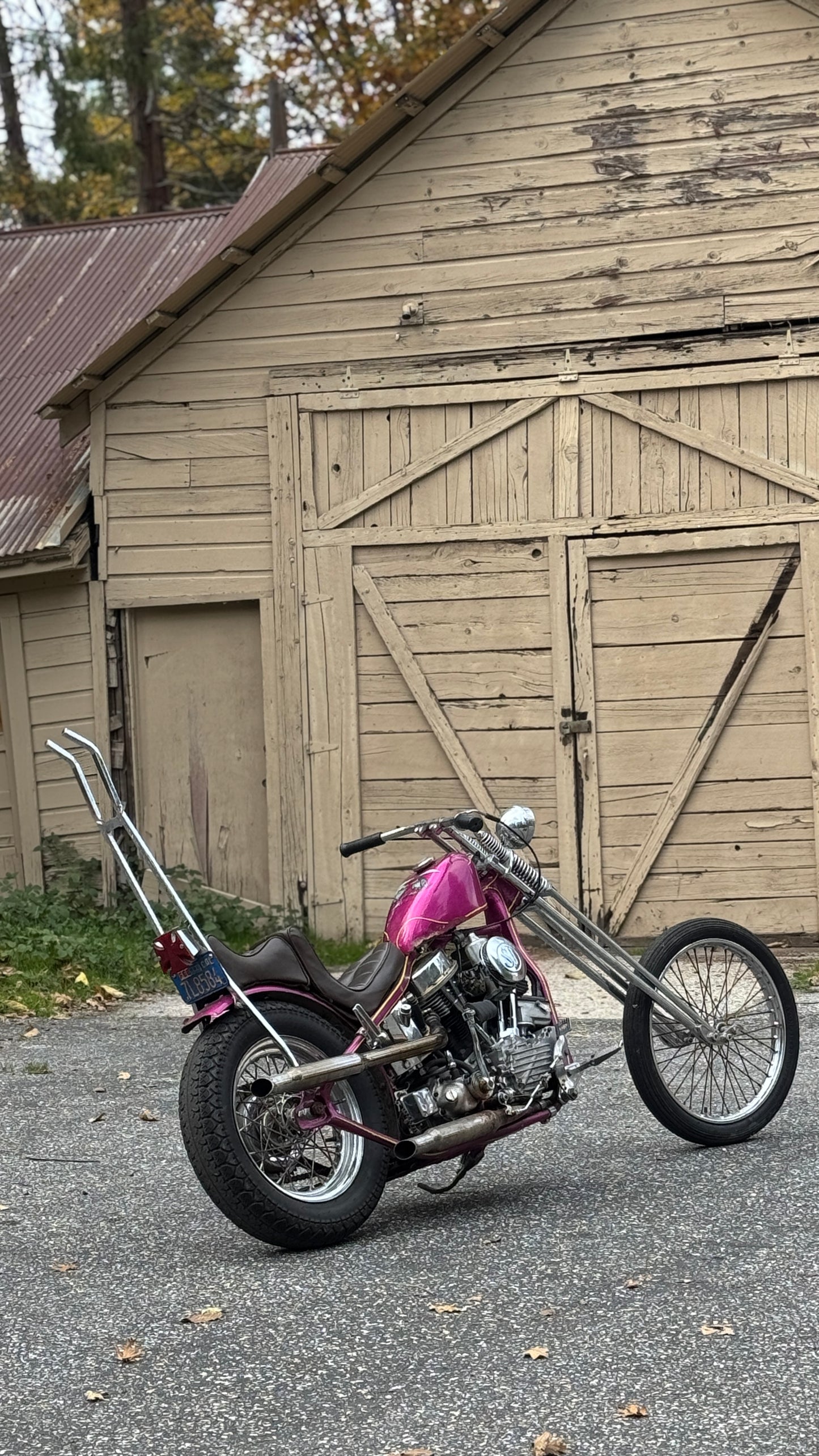 Limited Edition Panhead & Ironhead Posters