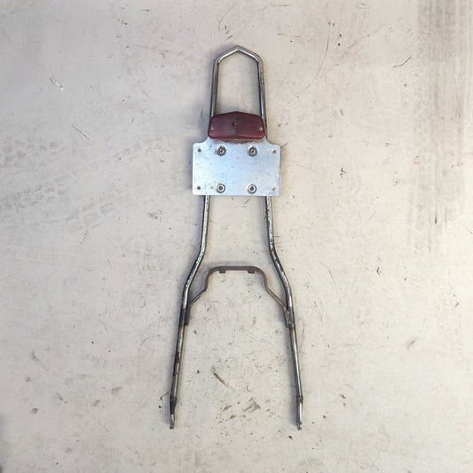 Crusty Chrome Sissy Bar